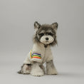 Cargar la imagen en la vista de la galería, Sweat doux pour petit chien de Oscar et Plume avec un design coloré et moderne
