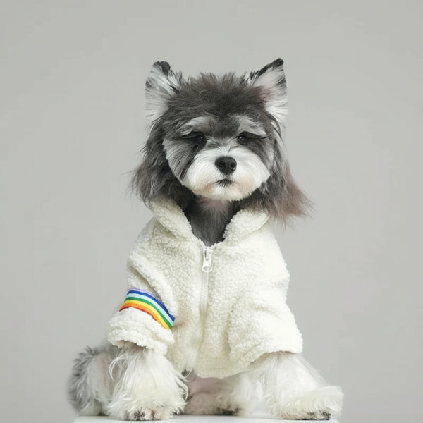 Sweat doux pour petit chien avec capuche et rayures colorées pour un look tendance