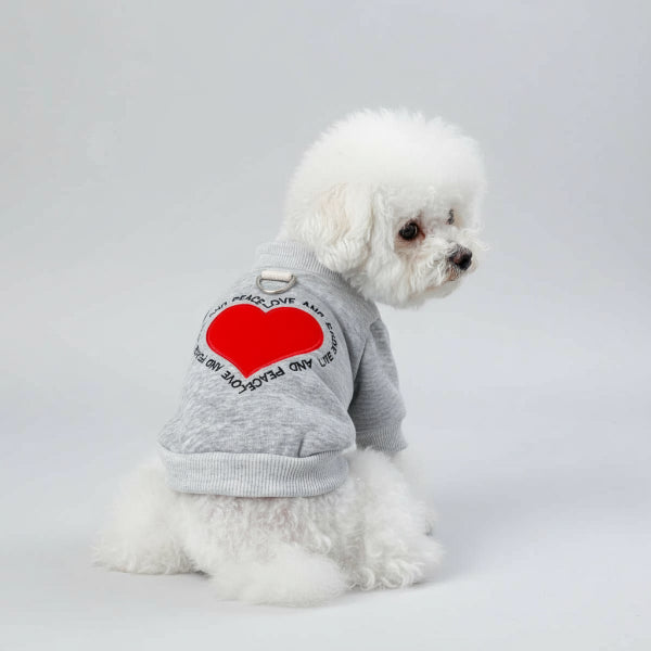 Petit chien blanc portant un sweat gris pour chien avec un grand cœur rouge imprimé au dos