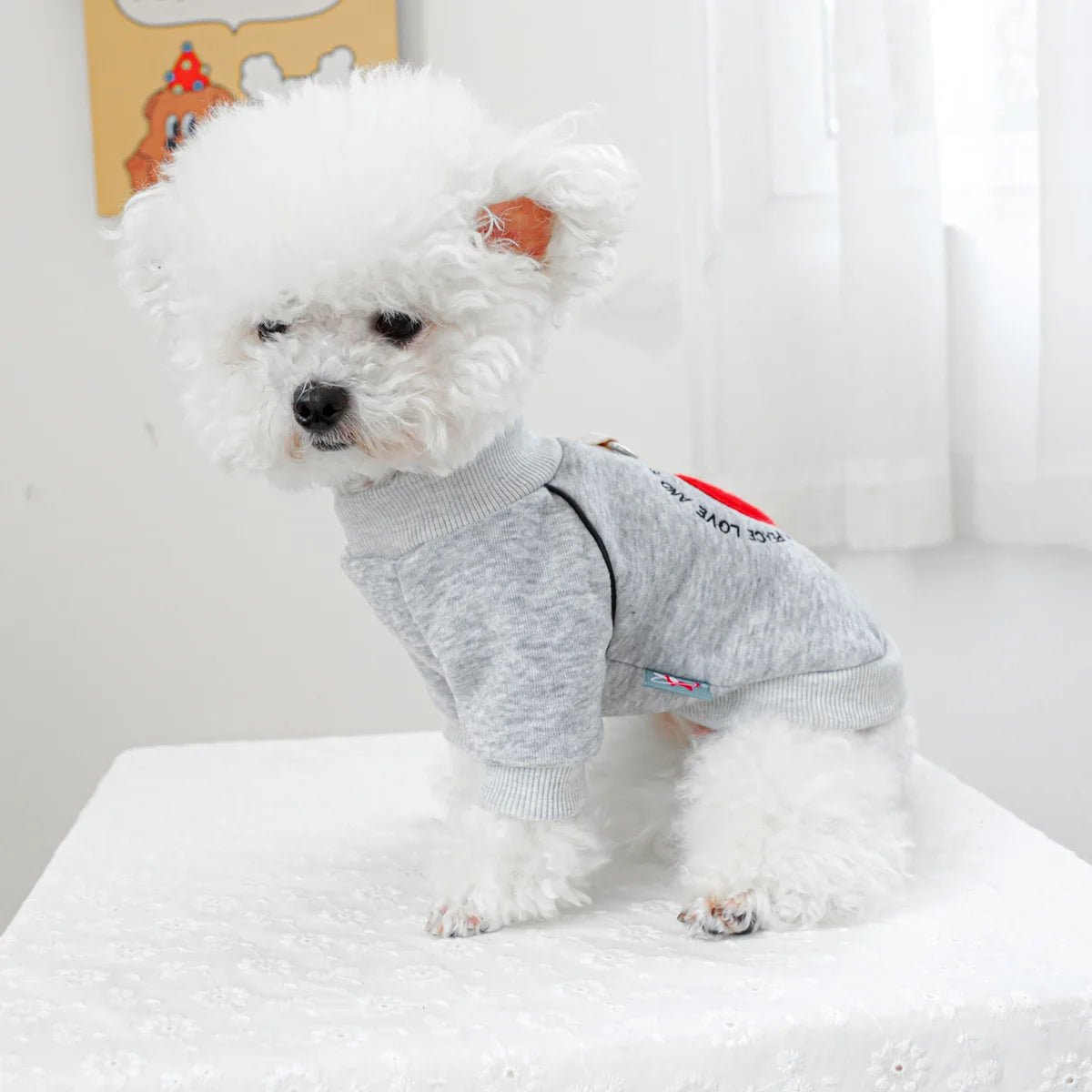 Sweat gris pour petit chien Oscar et Plume XS