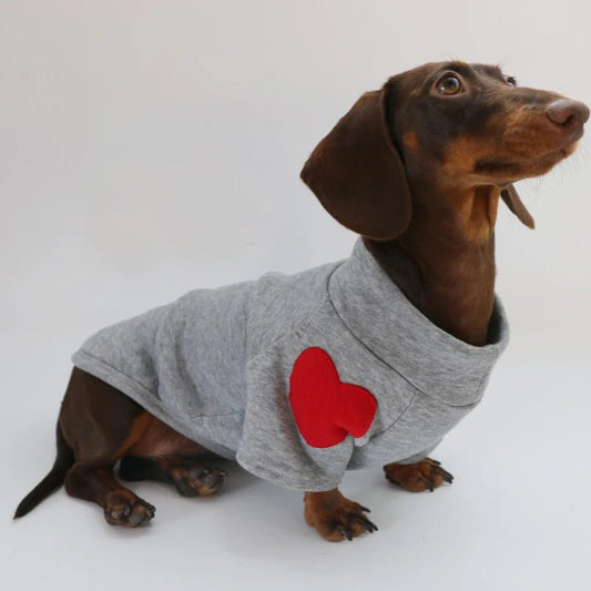 Sweat love pour Teckel Oscar et Plume Gris / XS