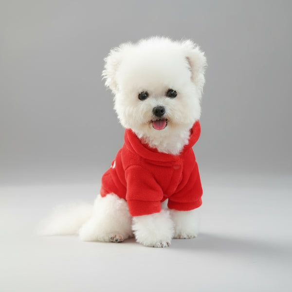 Sweat Noël pour petit chien en rouge, parfait pour les fêtes et le confort de votre animal