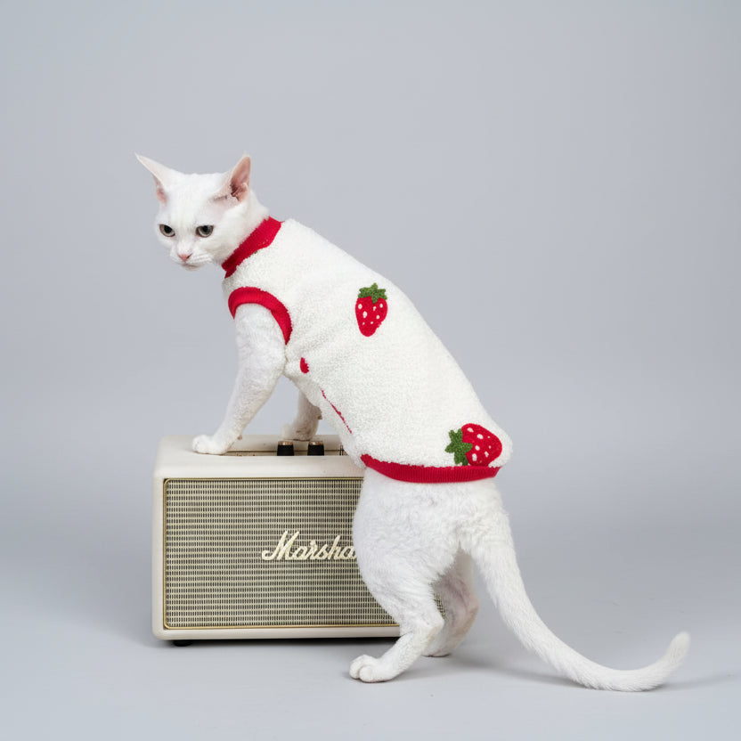 Sweat polaire pour chat Sphynx blanc avec motifs de fraises pour un look confortable et tendance