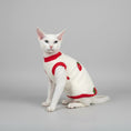 Load image into Gallery viewer, Sweat polaire pour chat Sphynx avec motif de fraises sur fond blanc et rouge

