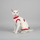 Sweat polaire pour chat Sphynx avec motif de fraises sur fond blanc et rouge