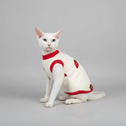 Sweat polaire pour chat Sphynx avec motif de fraises sur fond blanc et rouge
