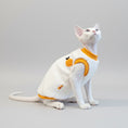 Load image into Gallery viewer, Sweat polaire pour chat Sphynx en blanc et orange, confortable et stylé pour le froid
