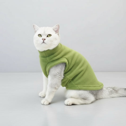Chat portant un sweat polaire pour chat vert, confortable et chaud pour les journées fraîches