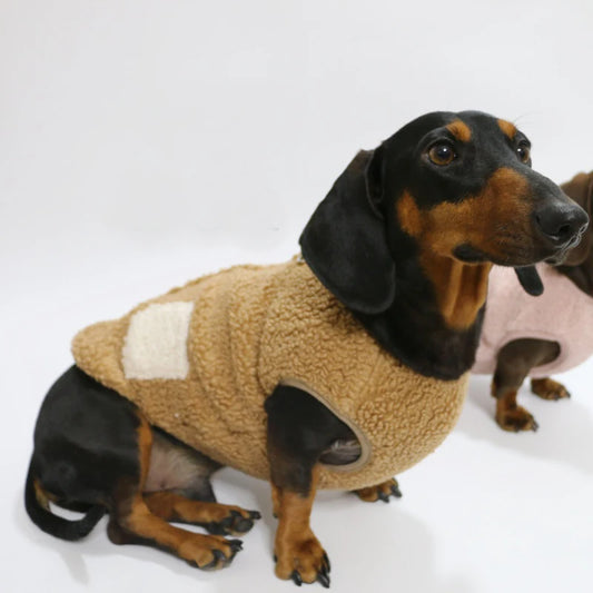 Chien teckel portant un sweat polaire teckel beige doux et confortable de la marque Oscar et Plume