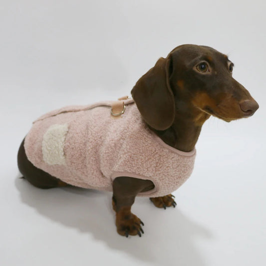 Chien teckel portant un sweat polaire teckel rose pâle avec une fermeture sur le dos