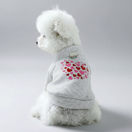 Petit chien blanc portant un sweat pour chien petit gris avec motif de cœurs rouges et roses