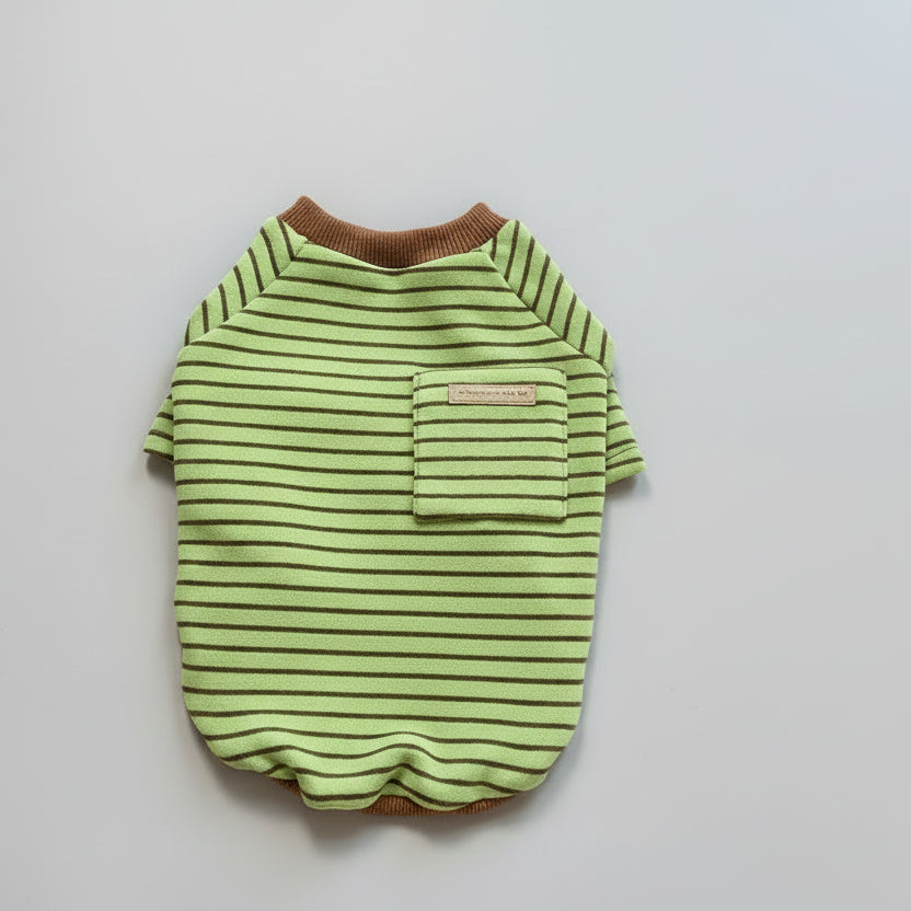 Sweat pour chien teckel à rayures vertes et marron, confortable et stylé