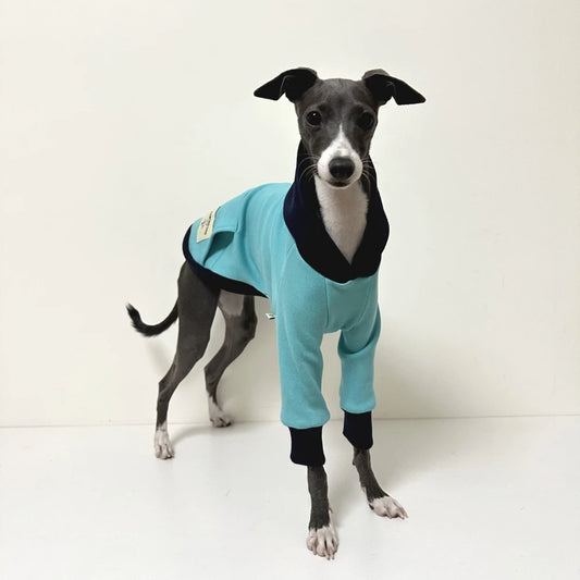 Sweat pour lévrier bleu clair avec col et manches noirs porté par un lévrier élégant