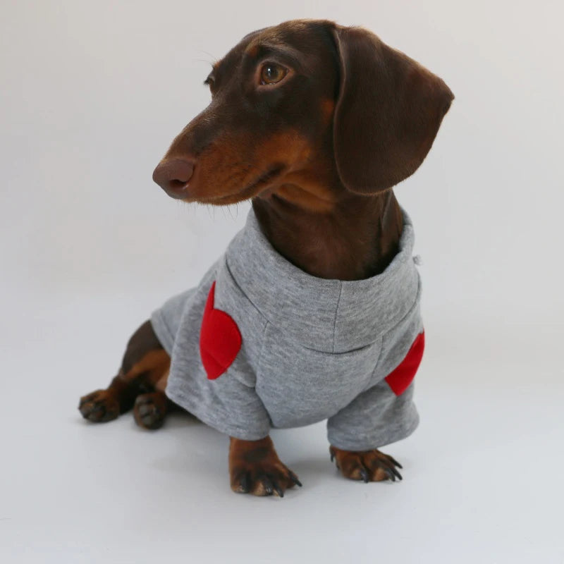 Sweat pour teckel confortable en gris avec des coudières rouges pour les chiens stylés