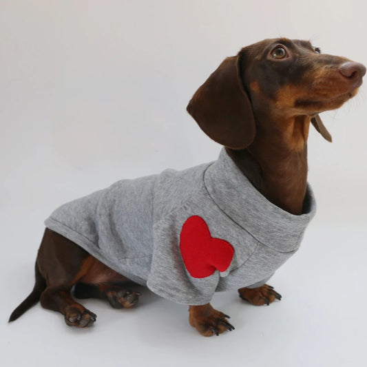 Sweat pour teckel confortable gris avec un cœur rouge pour le style de votre chien