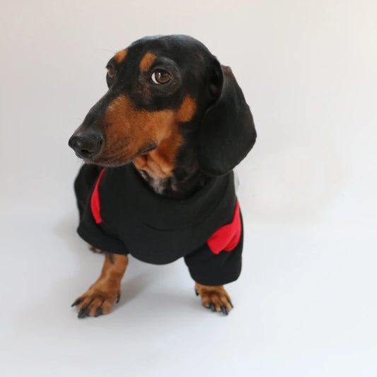 Sweat pour teckel confortable noir et rouge, parfait pour garder votre chien au chaud