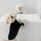 Deux chiens portant un sweat-shirt chien coton Oscar et Plume, l'un en noir et l'autre en gris clair