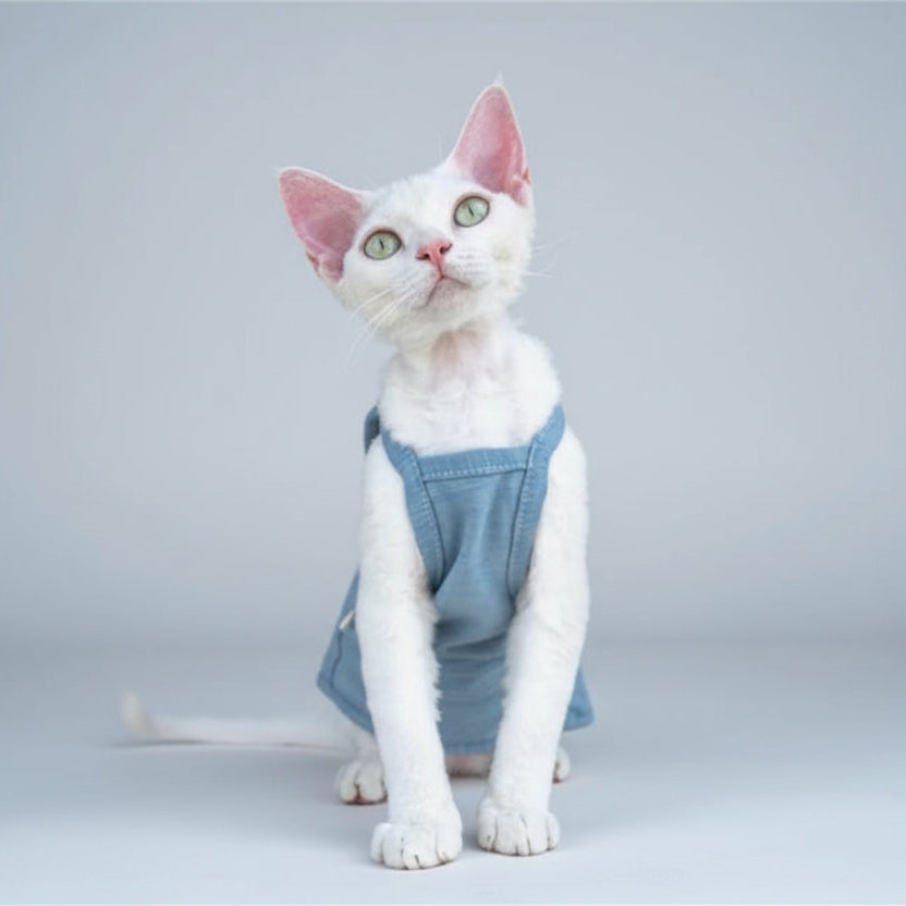 T-shirt coton pour chat en bleu, confortable et élégant pour les félins stylés