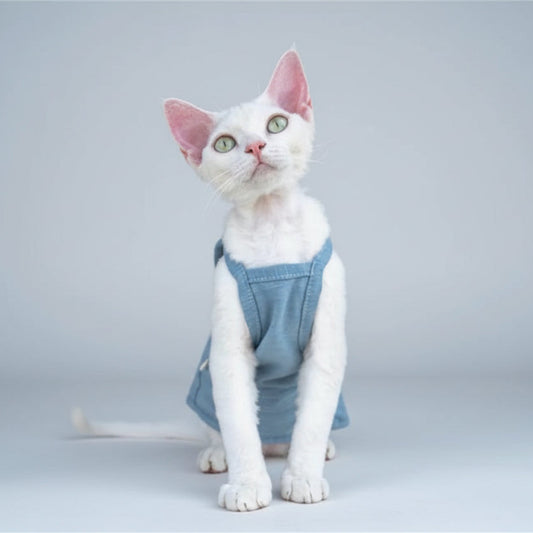 T-shirt coton pour chat en bleu, confortable et élégant pour les félins stylés