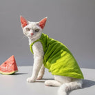 T-shirt coton pour chat en vert clair porté par un chat sur fond neutre avec une tranche de pastèque