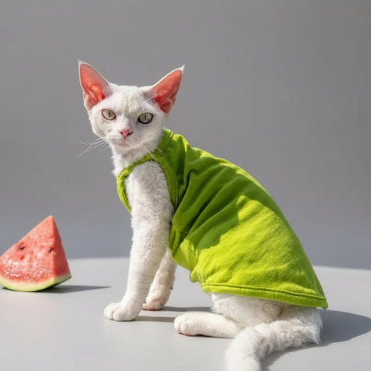 T-shirt coton pour chat en vert clair porté par un chat sur fond neutre avec une tranche de pastèque