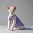Chat avec un t-shirt coton pour chat violet, parfait pour les journées ensoleillées