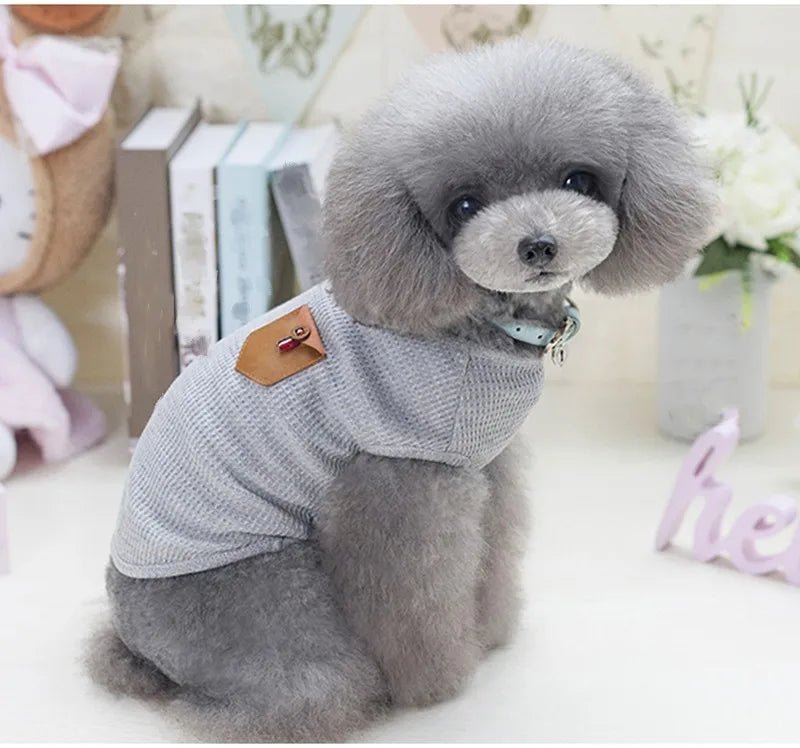 T-Shirt Coton pour chien Oscar et Plume Gris / S