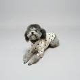 Carica l'immagine nel visualizzatore della galleria, T-shirt coton pour petit chien avec motifs en forme de cœur, confortable et stylé
