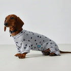 T-shirt coton pour teckel avec motifs d'étoiles pour le confort de votre animal