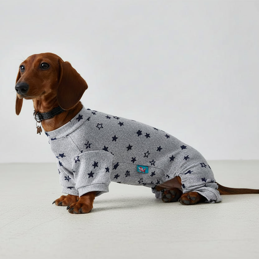 T-shirt coton pour teckel avec motifs d'étoiles pour le confort de votre animal