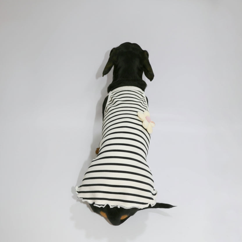 T-shirt coton pour teckel rayé avec une petite décoration florale pour animaux de compagnie