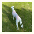 Load image into Gallery viewer, T-shirt de protection pour Lévrier et Whippet Oscar et Plume Bleu Marine / XS
