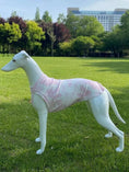 Load image into Gallery viewer, T-shirt de protection pour Lévrier et Whippet Oscar et Plume Rose / XS
