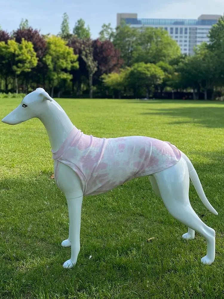 T-shirt de protection pour Lévrier et Whippet Oscar et Plume Rose / XS