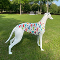 Load image into Gallery viewer, T-shirt de protection pour Lévrier et Whippet Oscar et Plume Imprimé / XS
