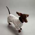 Load image into Gallery viewer, Teckel portant un t-shirt en coton doux pour teckel avec des pois noirs sur fond blanc
