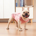 Load image into Gallery viewer, T-shirt fin avec bande réfléchissante pour chien Oscar et Plume Rose / XS
