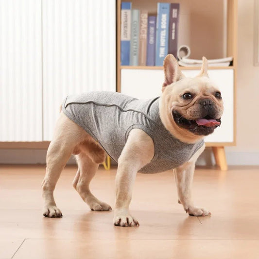 T-shirt fin avec bande réfléchissante pour chien Oscar et Plume Gris clair / XS