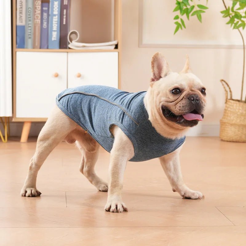 T-shirt fin avec bande réfléchissante pour chien Oscar et Plume Gris foncé / XS