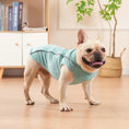 Load image into Gallery viewer, T-shirt fin avec bande réfléchissante pour chien Oscar et Plume Vert / XS
