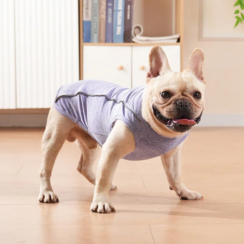 T-shirt fin avec bande réfléchissante pour chien Oscar et Plume Gris clair / XS