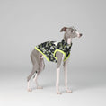 Load image into Gallery viewer, T-shirt lévrier anti uv en camouflage avec éléments réfléchissants pour chiens élégants
