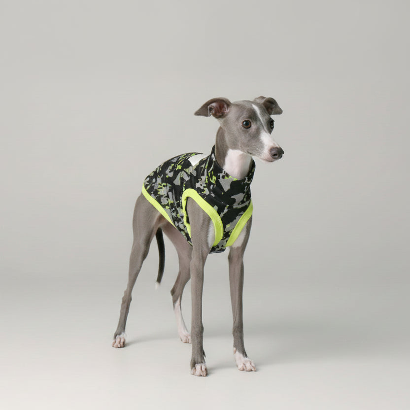 T-shirt lévrier anti uv pour chien avec motif camouflage noir et jaune vif