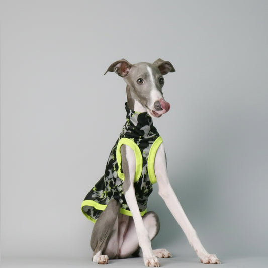 T-shirt lévrier anti uv en camouflage noir et jaune pour protéger votre chien du soleil