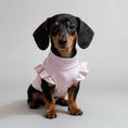 Load image into Gallery viewer, T-shirt manches volantes pour teckel en rose avec un design élégant et confortable
