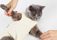 Load image into Gallery viewer, T-Shirt post opération pour chat Oscar et Plume Bleu / S
