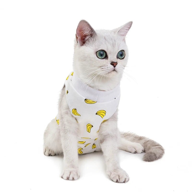 T-Shirt post opération pour chat Oscar et Plume Donut / S