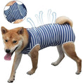 Load image into Gallery viewer, T-shirt post opération pour Chiens Oscar et Plume Bleu / XS
