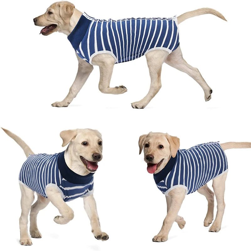 T-shirt post opération pour Chiens Oscar et Plume Bleu / XS