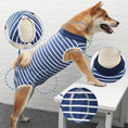 Load image into Gallery viewer, T-shirt post opération pour Chiens Oscar et Plume Bleu / XS
